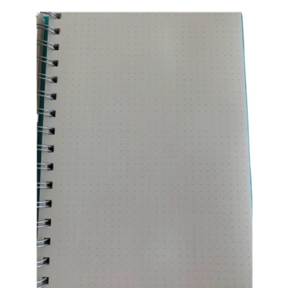 PEN+GEAR Journal Set 2 Turquoise Notebooks Dot Grid Spiral Wide Ruled Pineapple - Picture 10 of 14